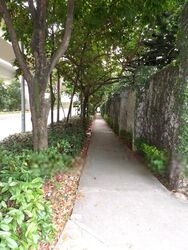 Banyan Condominium (D5), Condominium #578654951